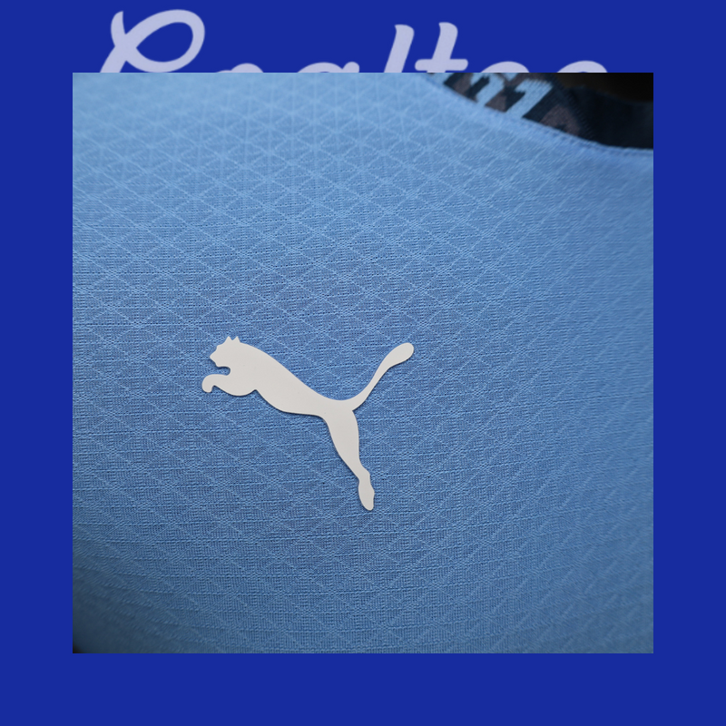 Camiseta Manchester City 24/25 (Modelo Jugador)