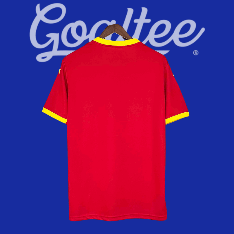 Camiseta Guinea 24/25 (Modelo Aficionado)