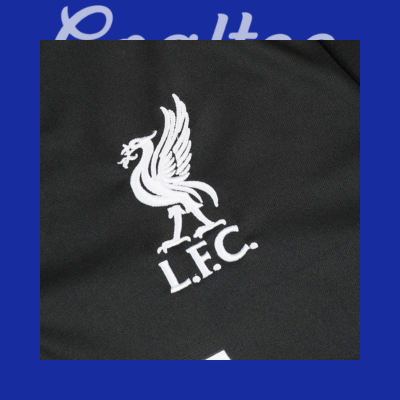 Chándal Liverpool 24/25