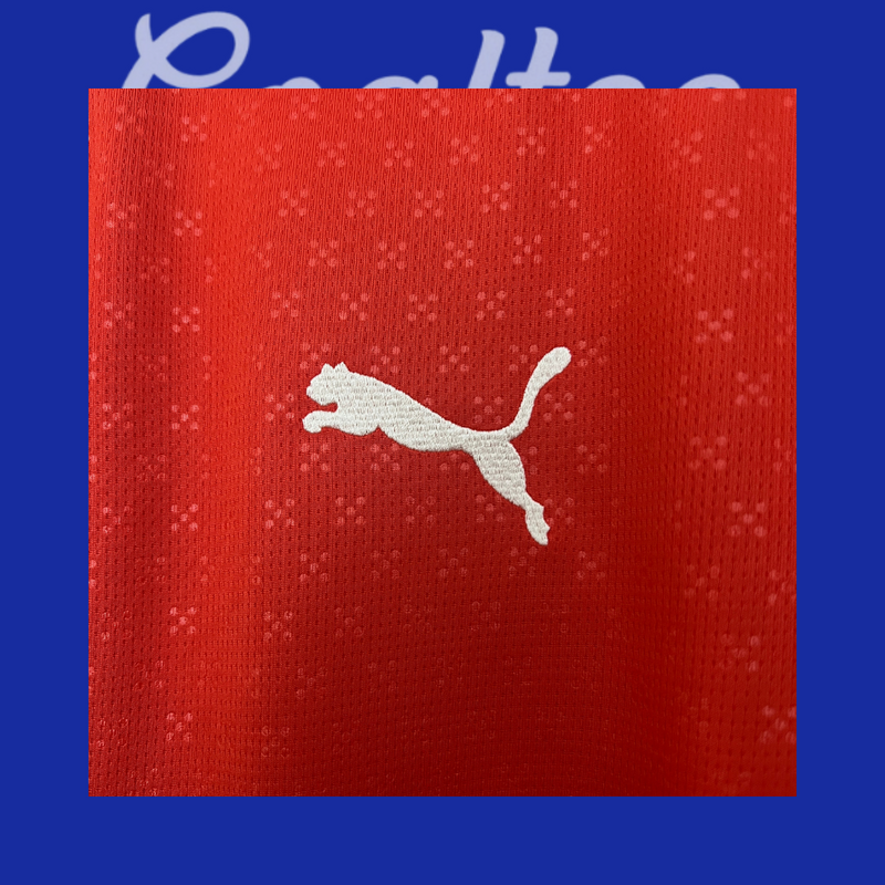 Camiseta Portugal 25/26 (Modelo Aficionado)